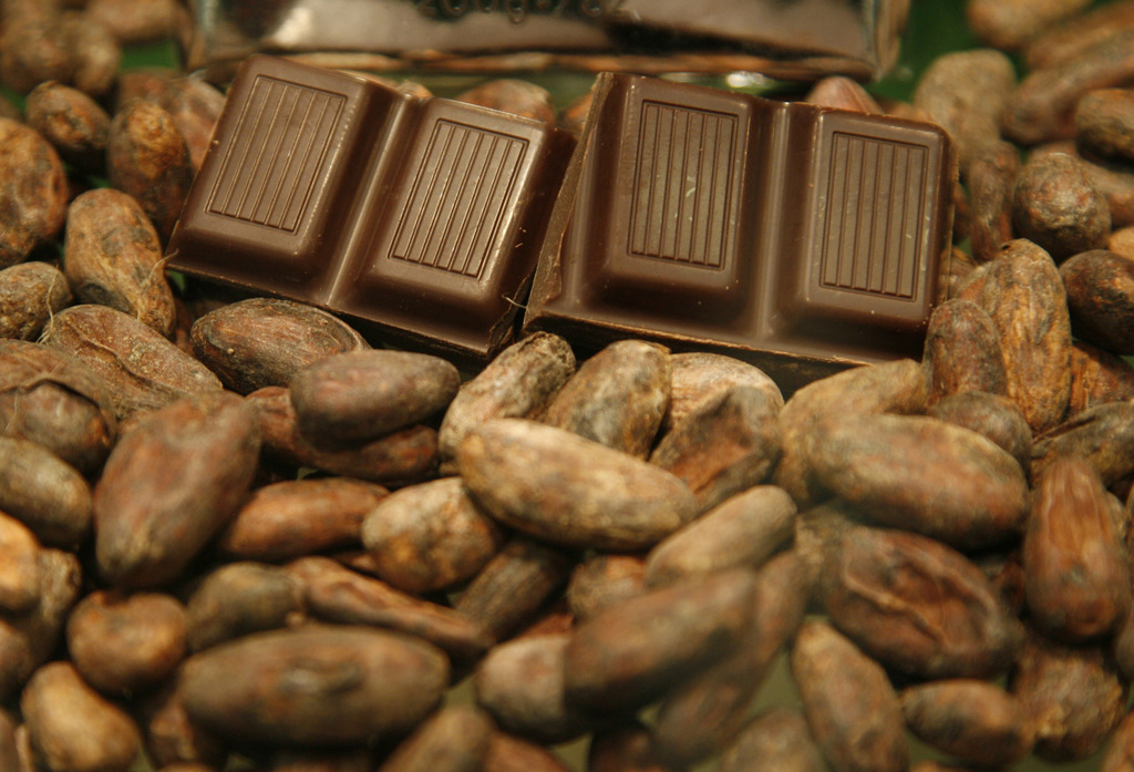 Premier producteur mondial de cacao, la Côte d'Ivoire a lancé samedi à l'occasion de la journée mondiale du cacao un label "origine Côte d'Ivoire".
