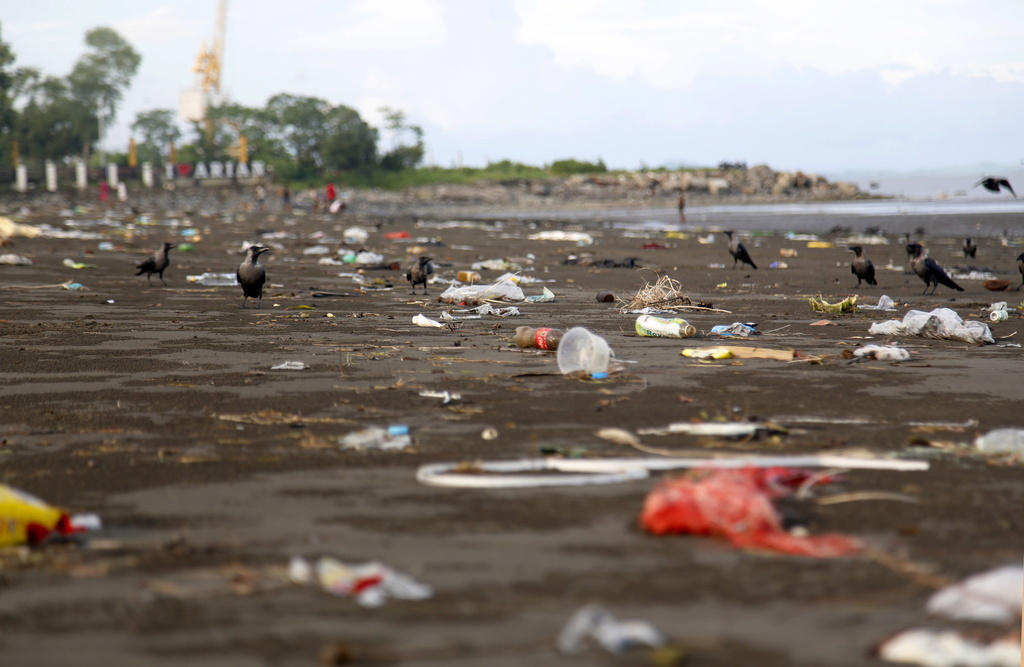 L'élimination des déchets plastiques fait partie des actions annoncées.