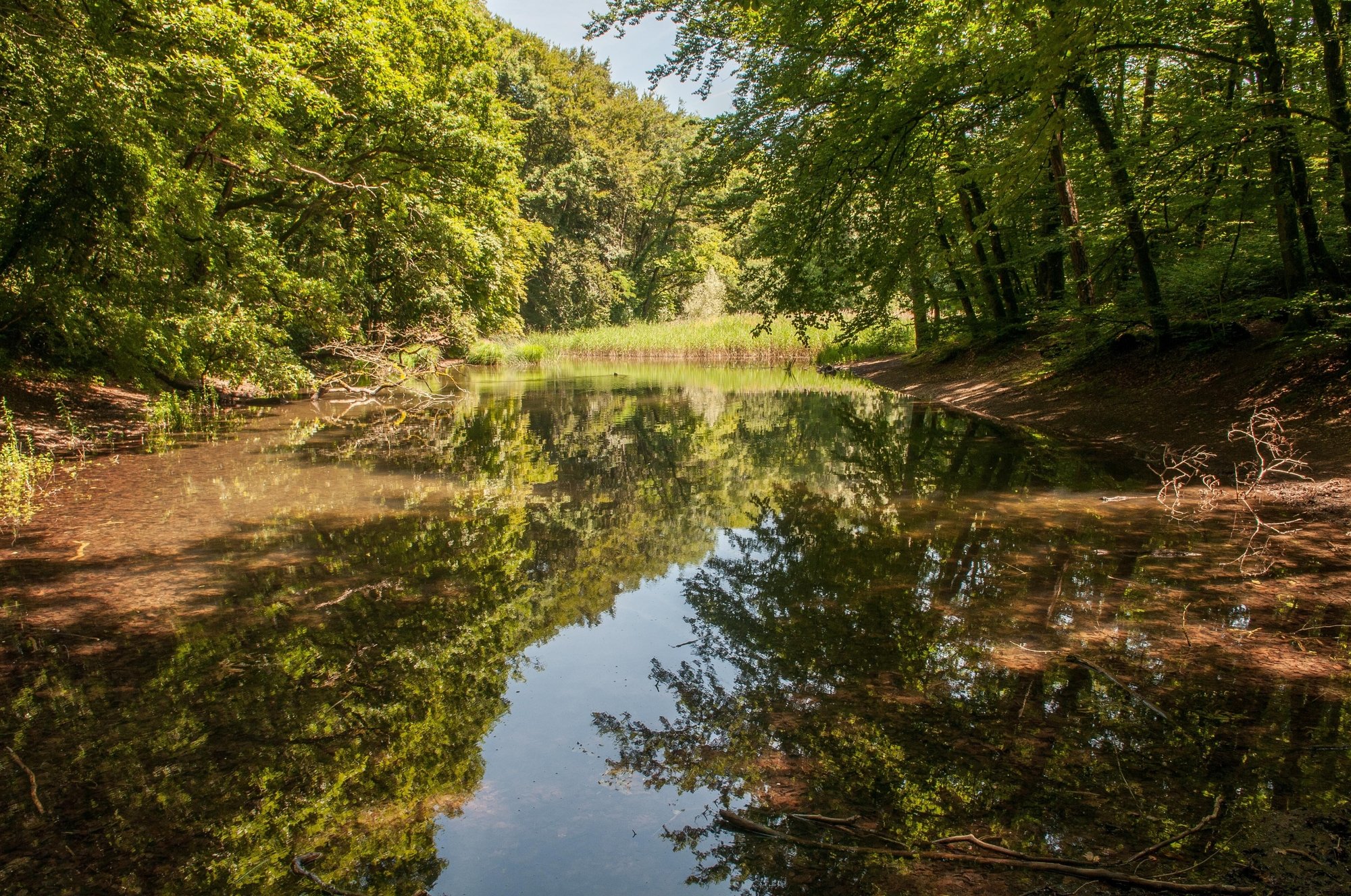 La Baigne aux Chevaux (photographiée en 2014) est un site d'importance nationale pour les amphibiens.