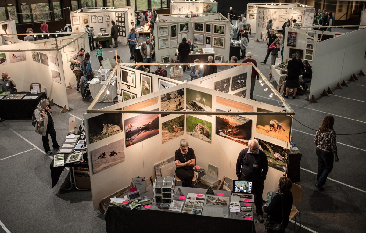 Le Festival Salamandre vivra sa 18e édition en ligne du 23 au 25 octobre. Au programme: des conférences, films, contes et activités nature. Bref, largement de quoi occuper le week-end!