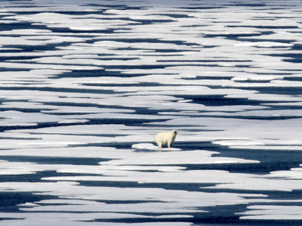 En septembre déjà, la taille de la banquise arctique avait enregistré un très bas niveau avec sa deuxième superficie la plus petite jamais enregistrée (ARCHIVES).