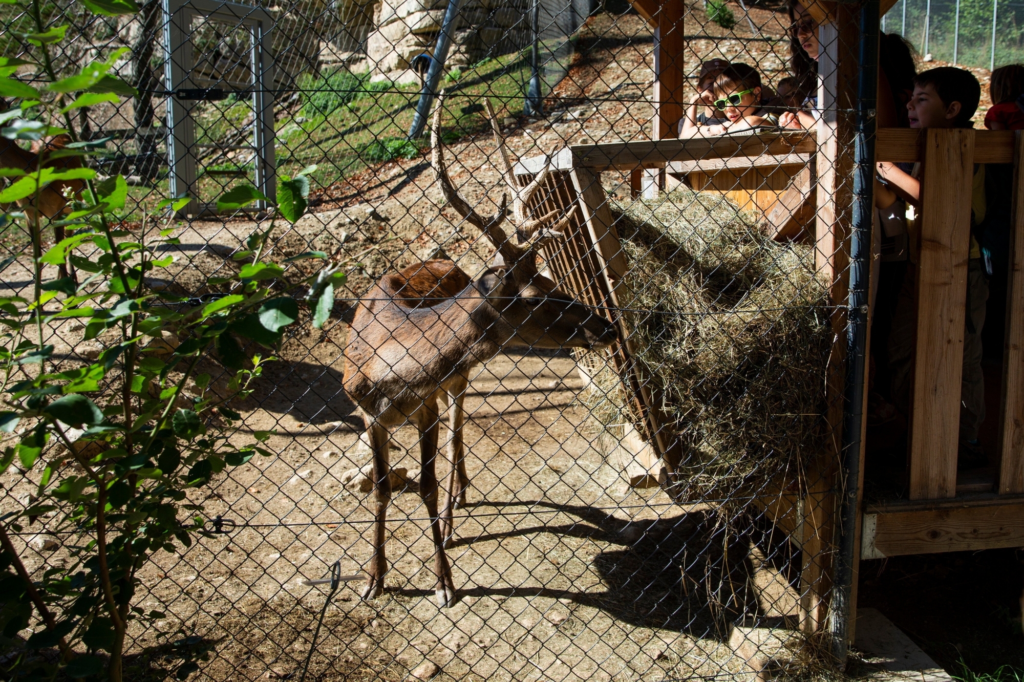 Le parc animalier de La Garenne reste ouvert pendant ce mois de novembre.