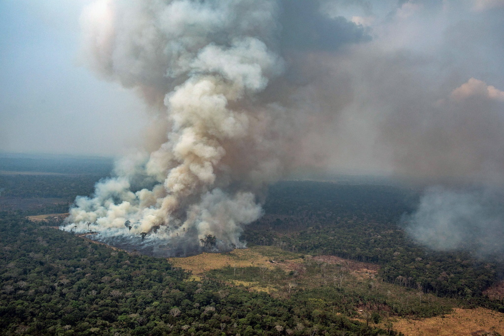 L'Amazonie, considérée vitale pour combattre le réchauffement climatique, et le Pantanal sont les deux écosystèmes les plus précieux au monde (ARCHIVES).