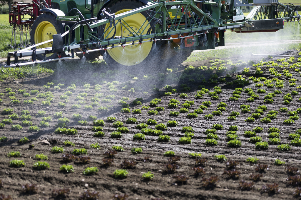 Pas moins de deux textes visent à réguler drastiquement l'usage des pesticides.