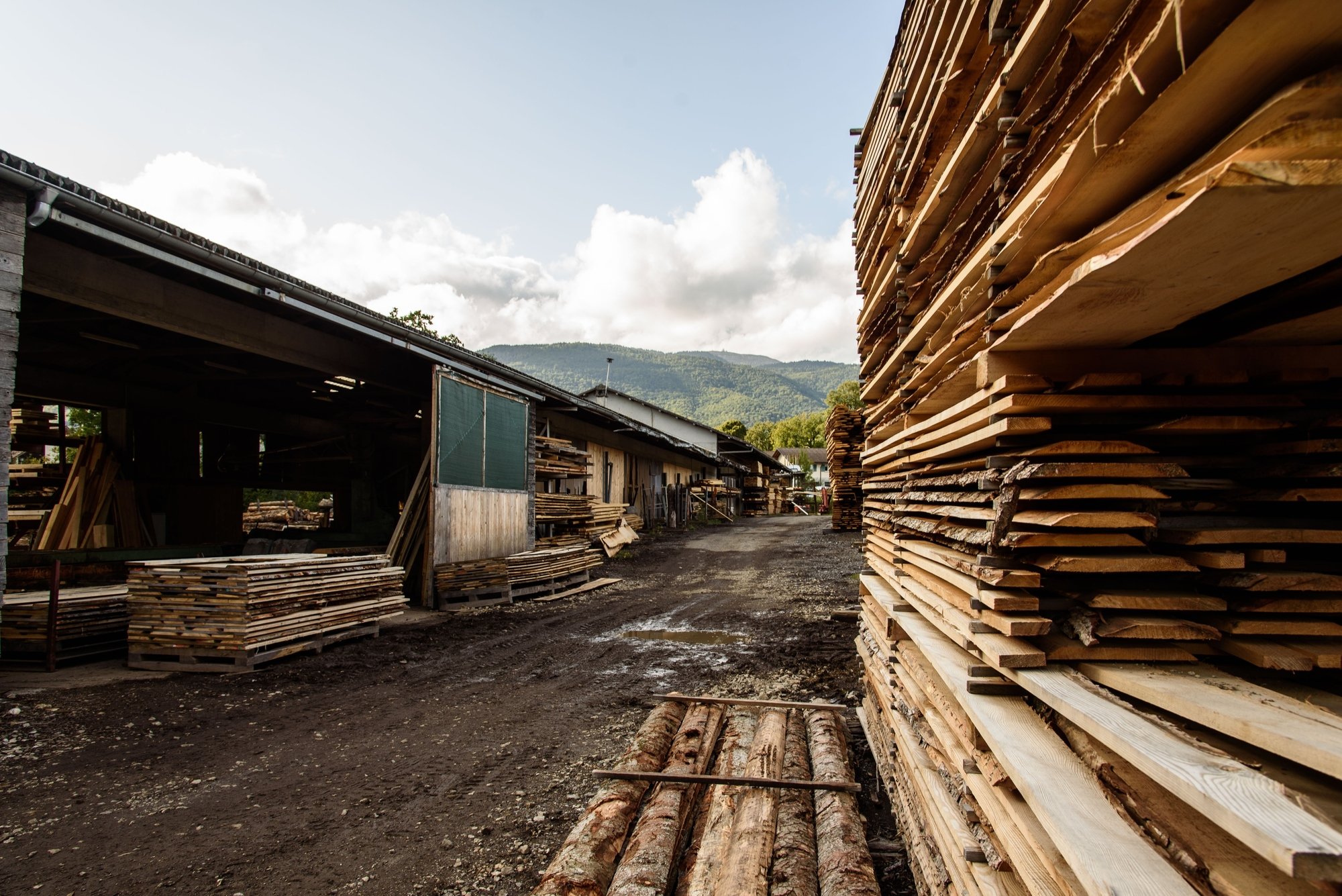 La scierie de La Rippe, ici en 2017. Dans les prochaines années, le village accueillera peut-être aussi un site de valorisation du bois.