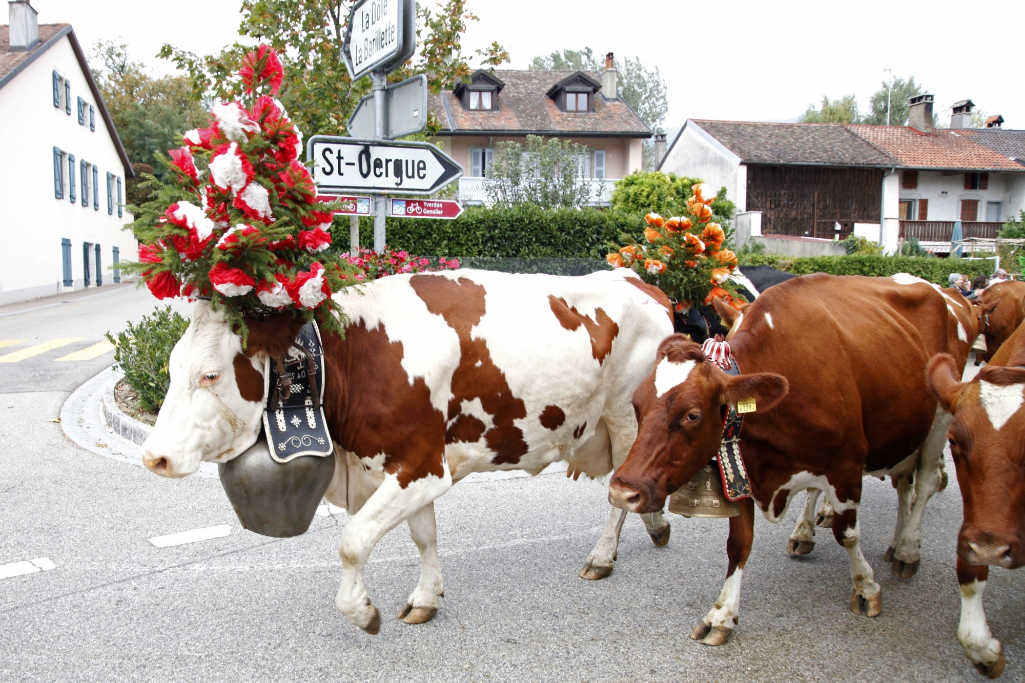 La Désalpe de Saint-Cergue est l'un des trois projets soutenus par Région de Nyon.