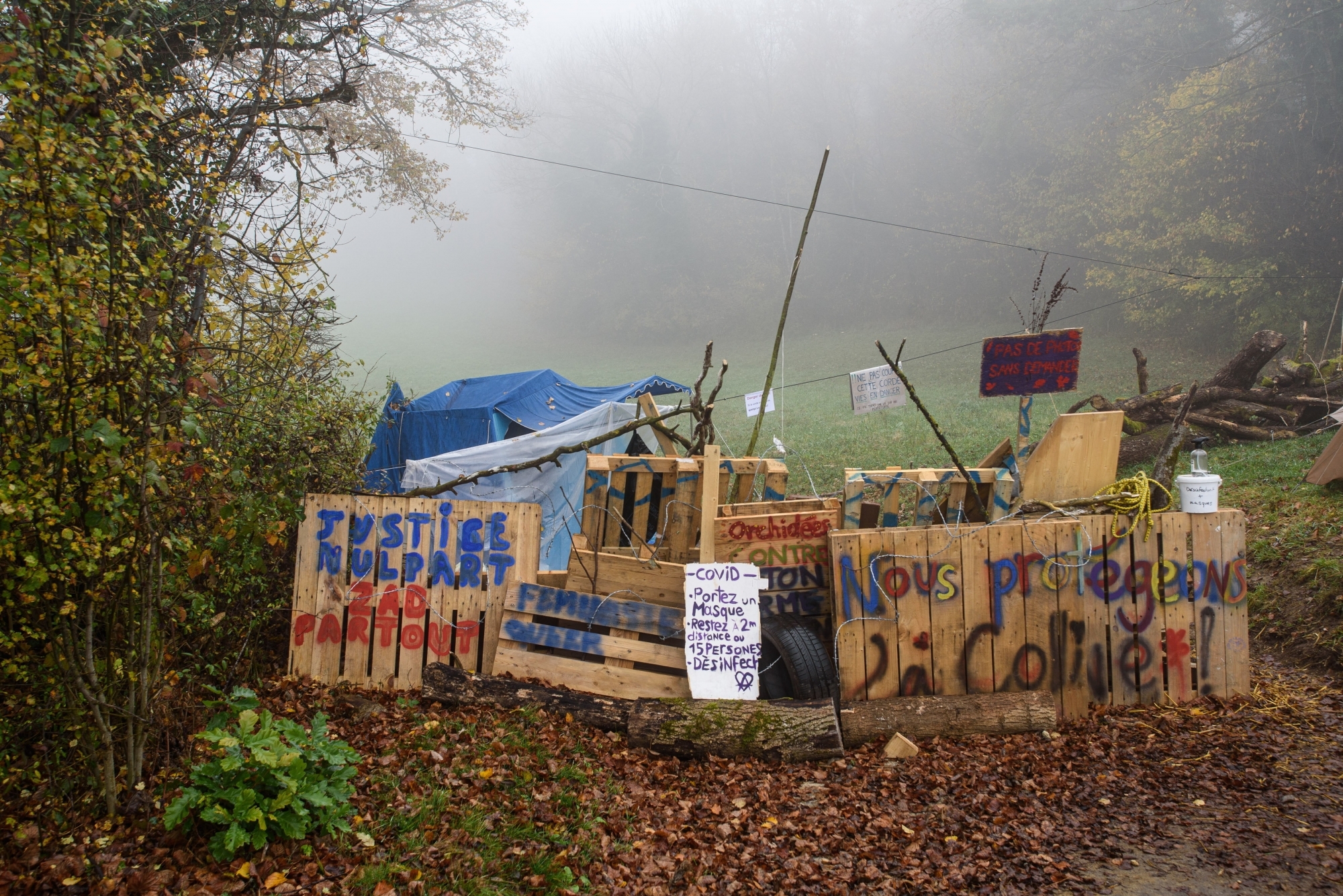 Les zadistes sont installés sur le Mormont depuis le mois d'octobre. 