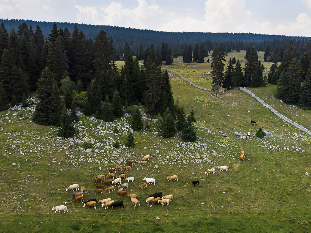 Le Parc Jura vaudois, ici au col du Marchairuz, doit renouveler son label auprès de l'Office fédéral de l'environnement (archives).