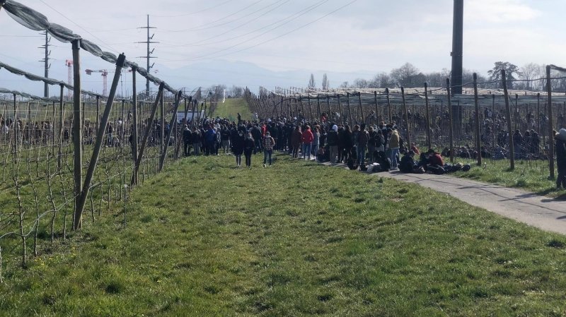 Déjà lors de la première évacuation, les étudiants avaient patienté dans les vignes.