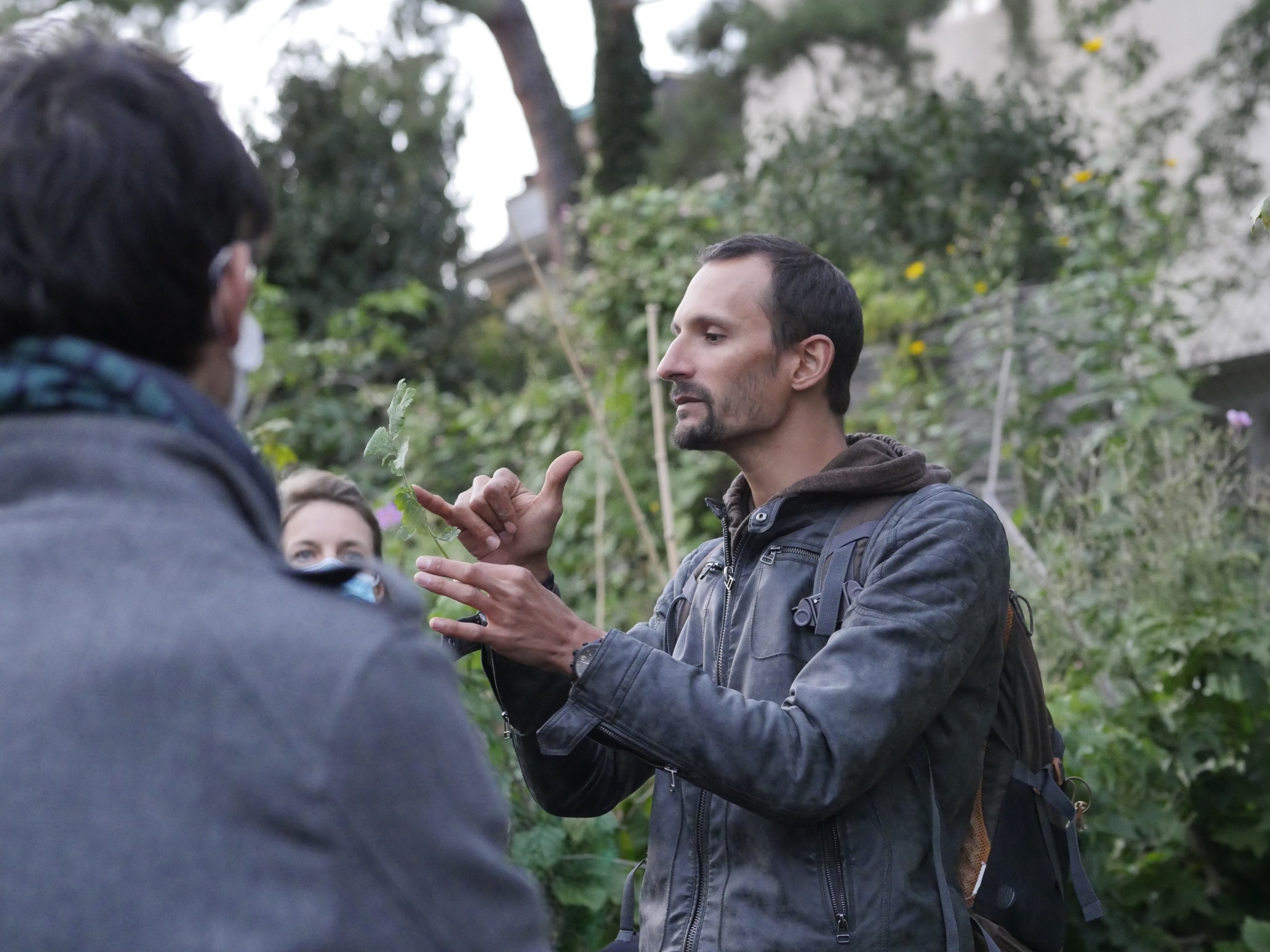 Les rencontres se révèlent ludiques et éducatives, comme celle capturée à Lausanne dédiée à la malherbologie.