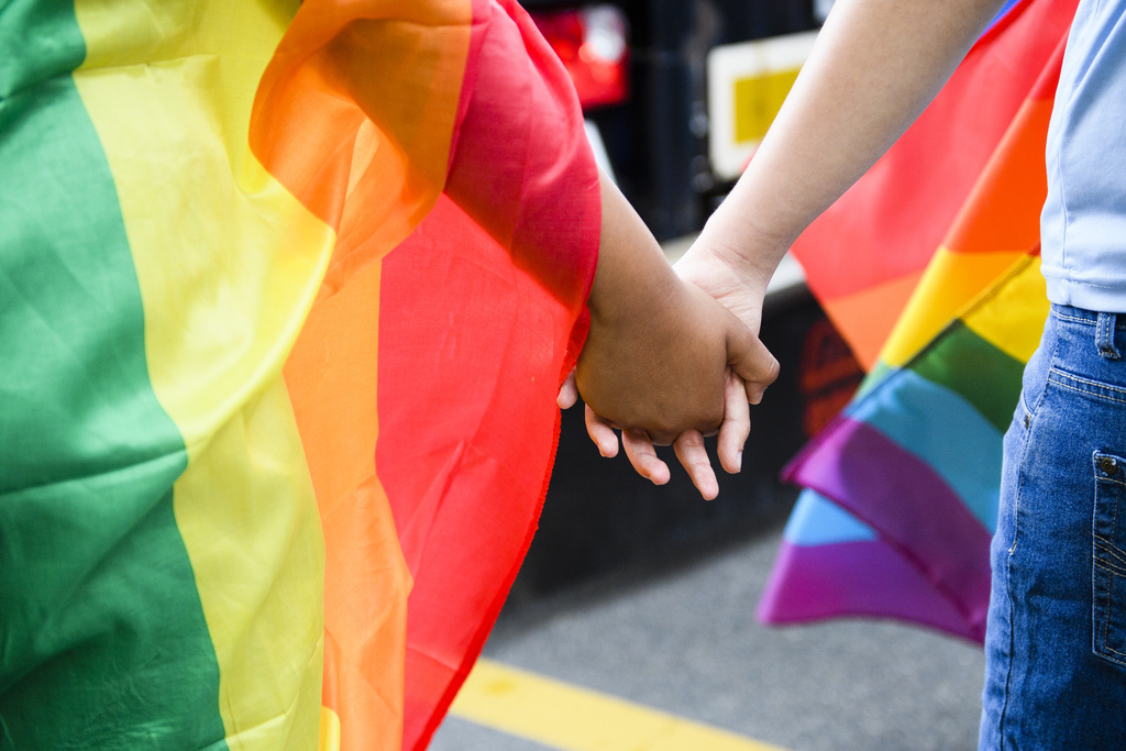 La communauté LGBTQ+ a désormais son groupe au parlement.