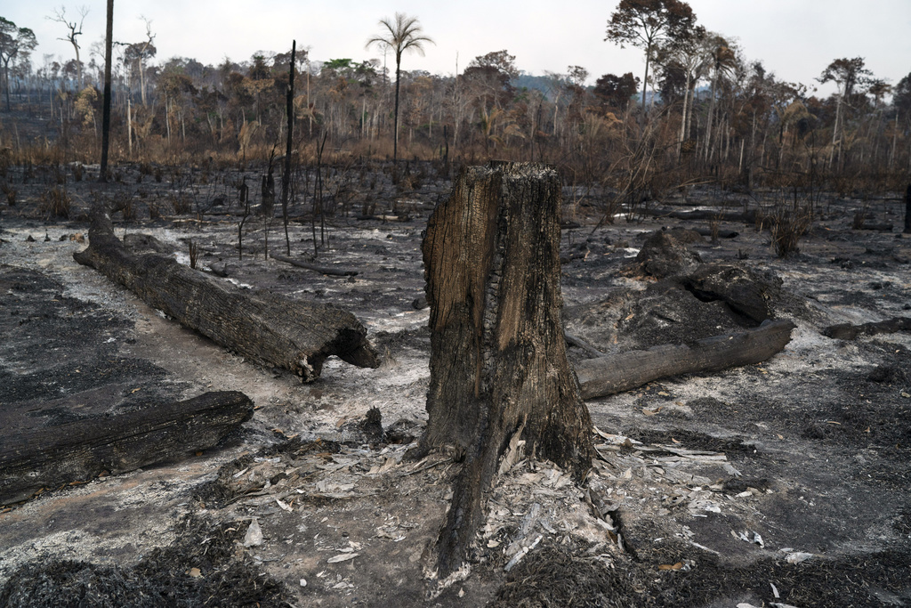 Sur l'ensemble de l'année 2020, quelque 103'000 incendies ont été recensés dans le biome amazonien, soit une augmentation de 16% en un an, selon l'INPE.