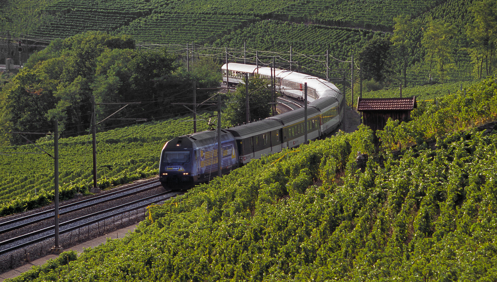 Plusieurs gares en Lavaux et dans le Chablais doivent être rénovées.