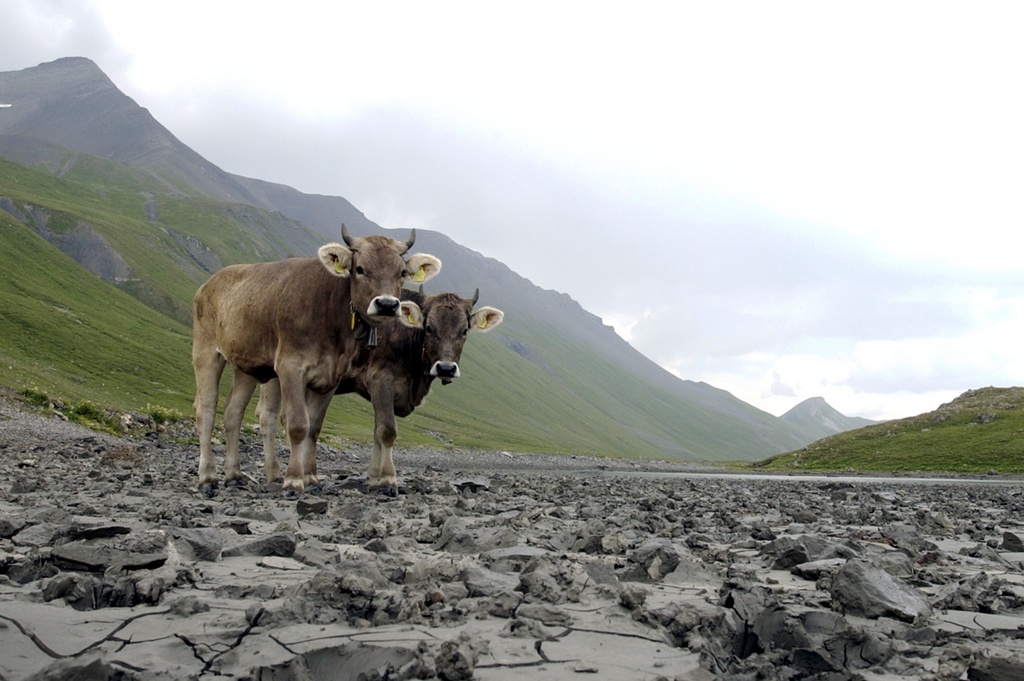 Selon l'étude de Swiss Re, c'est le changement climatique qui inquiète le plus les Suisses. 