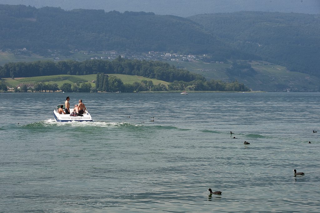 Selon l'IFSN, les taux de Cesium 137 du lac de Bienne n'ont rien d'inquiétants. 