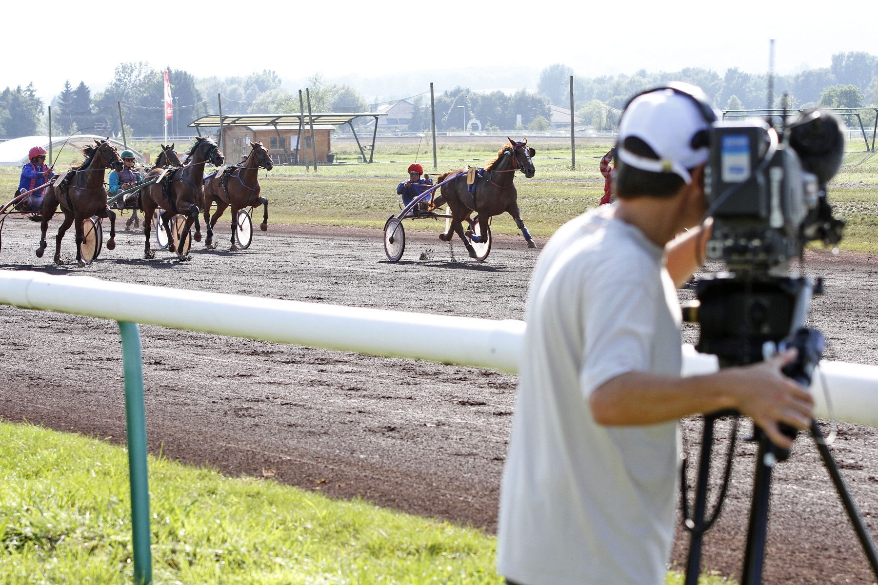 Divonne, Vendredi 23 Août 2013.
Prix hippisme, cheval de course et Attelé.
Hippodrome de Divonne-Les-Bains.
(Sam Fromhold)