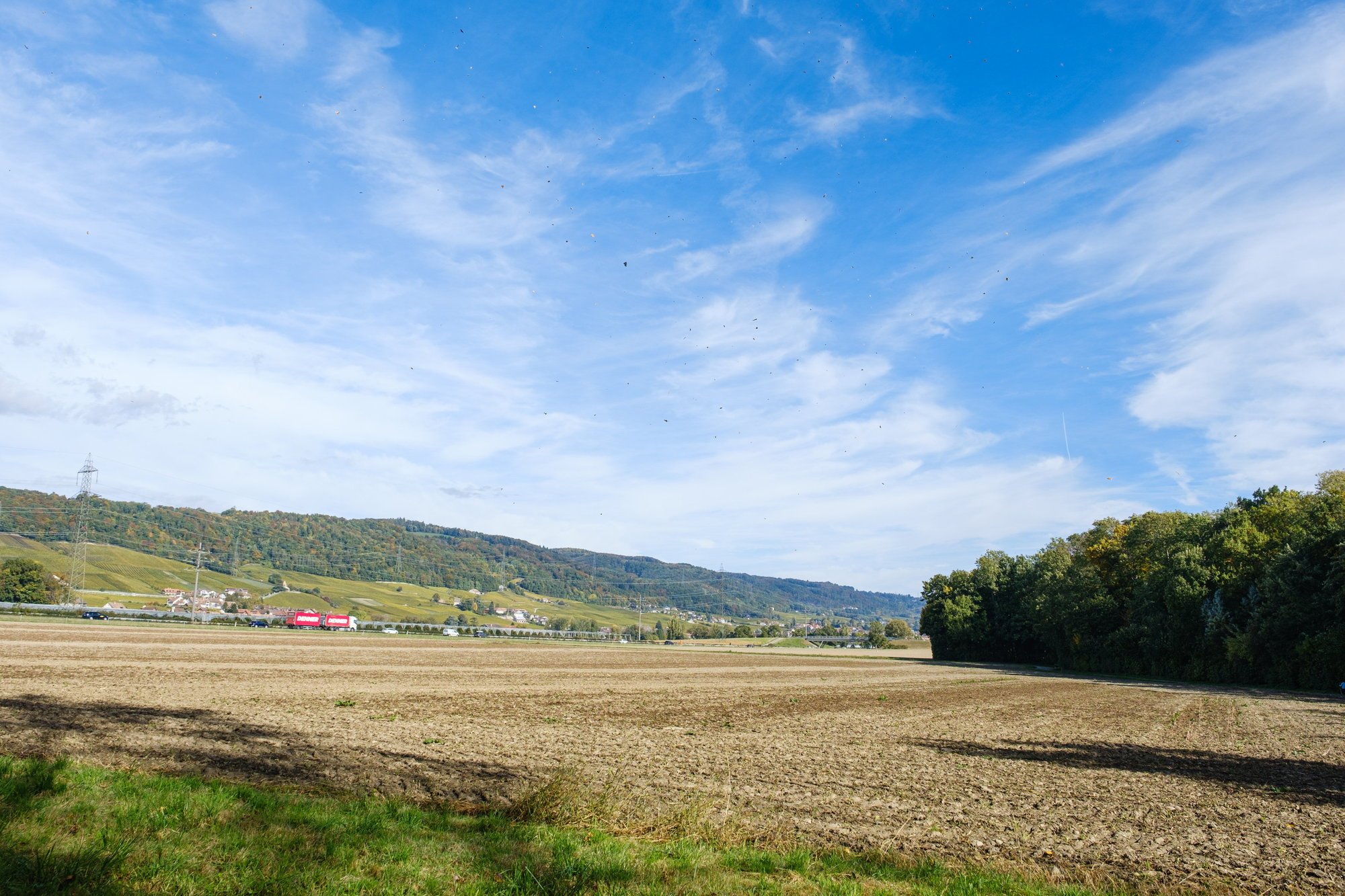 Le terrain choisi pour la nouvelle step est celui du secteur du Lavasson, à Gland.