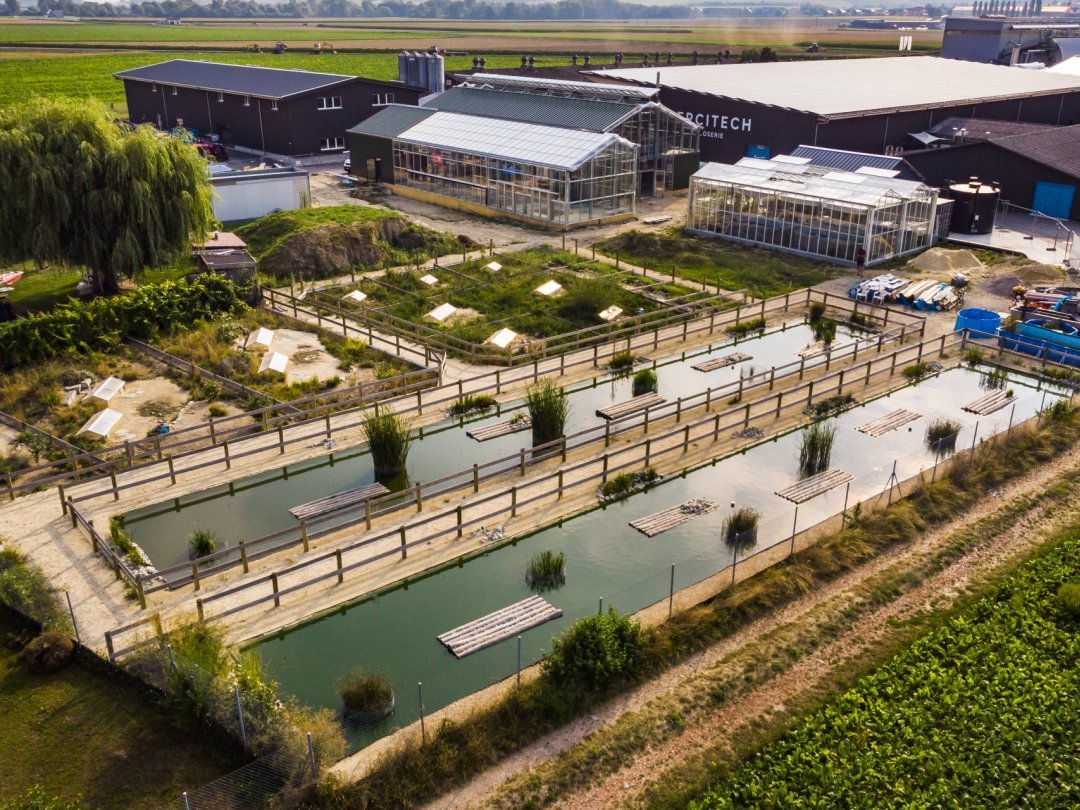 Le centre Emys protègent près de 4000 tortues à Chavornay. 