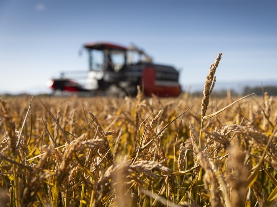 Selon Fenaco, les agriculteurs ne devrait pas subir immédiatement les conséquences de cette situation.