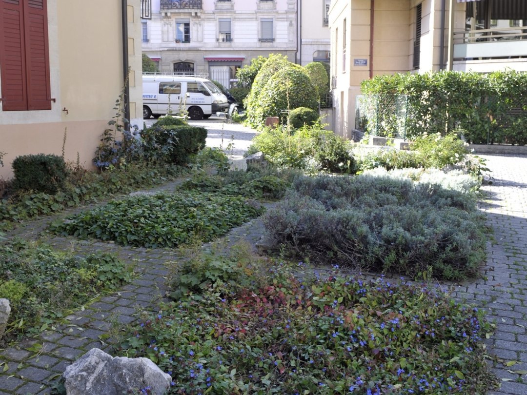 A l'instar d'autres villes suisses, comme ici Genève, Nyon souhaite voir ses rues se revégétaliser (image d'archive)