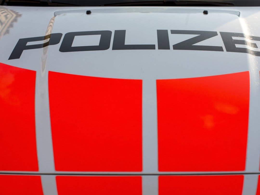Le sinistre est dû à des feux d’artifice du 1er août, a annoncé lundi la police schwyzoise (illustration).