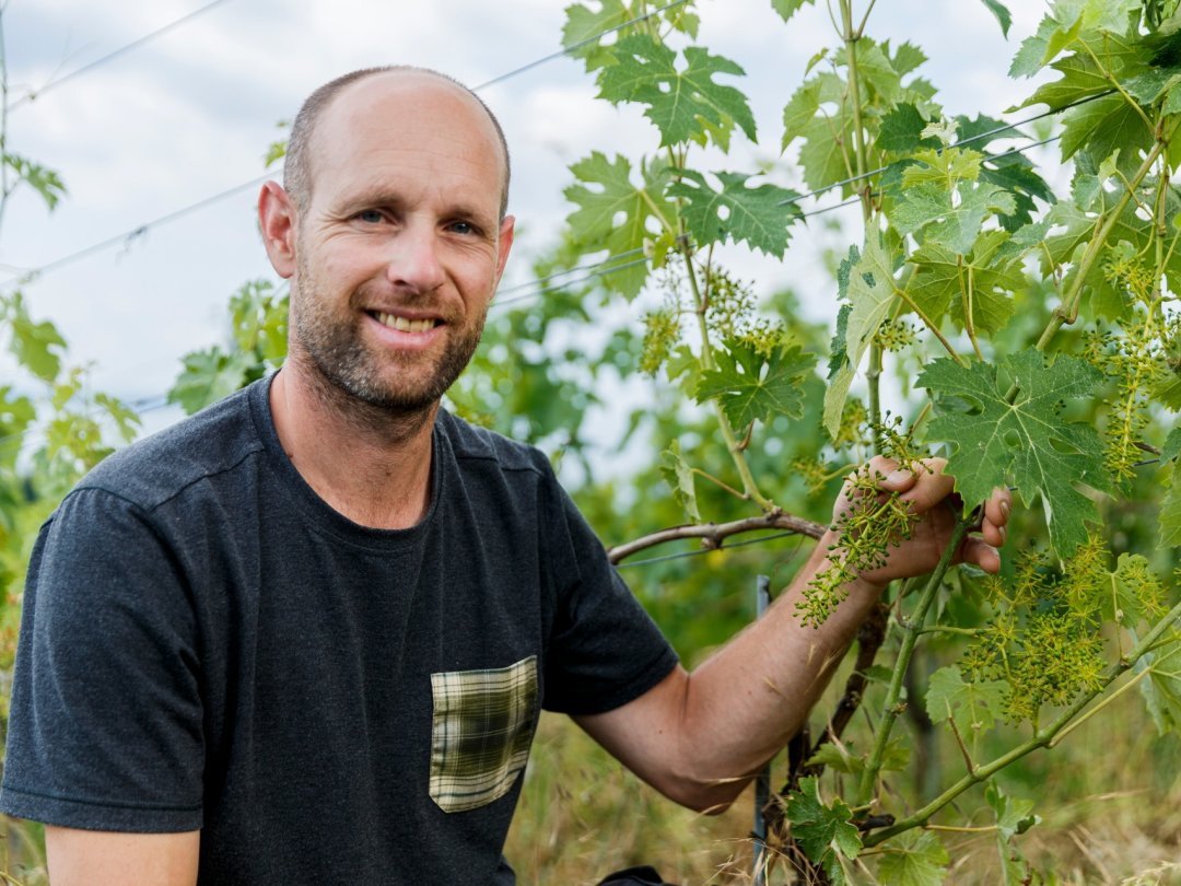 Chez Christian Dupuis, une partie de la génétique se pratique en humant les fleurs et en observant les feuilles de ses vignes.