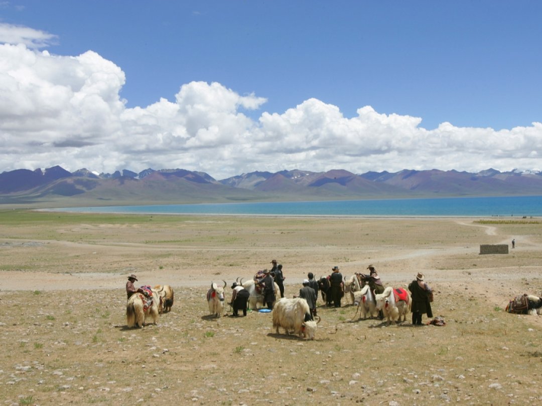 A cause du climat de plus en plus chaud et humide, le plateau tibétain perd un peu plus de 10 milliards de tonnes d'eau par an depuis 2002.