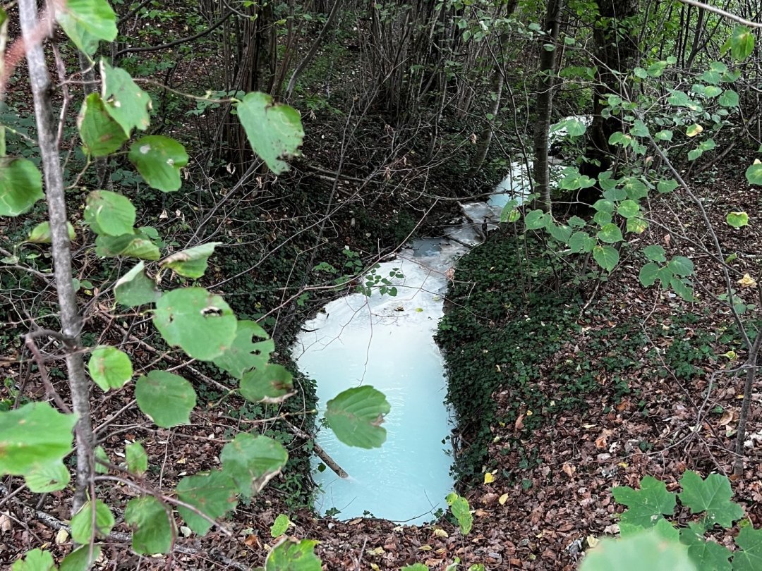 Une étrange coloration s'est répandue dans un ruisseau de Genolier.