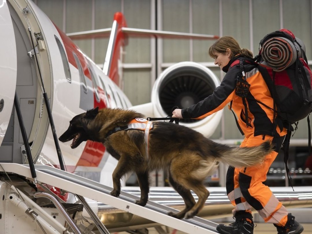 Une secouriste suisse et son chien de sauvetage montent dans un avion à destination de la Turquie, le 6 février dernier à l'aéroport de Zurich.