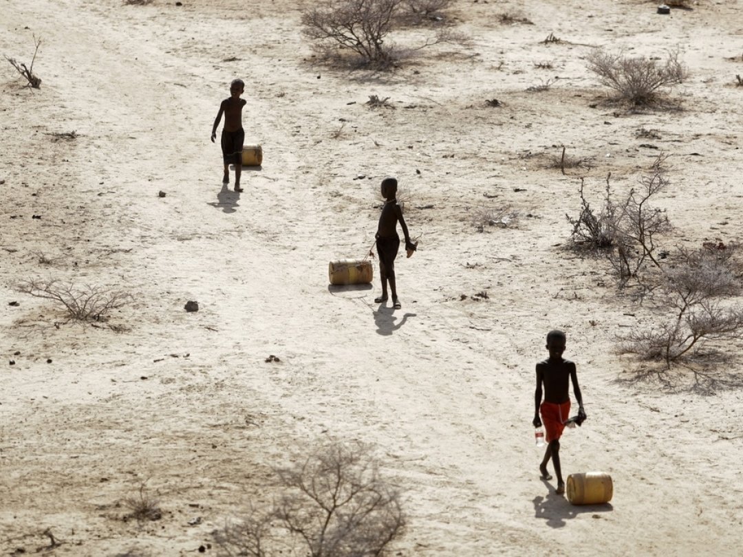 De jeunes garçons ramènent des barils d'eau récoltée dans un puits, dans le village de Ntabasi, au Kenya, le 14 octobre 2022.