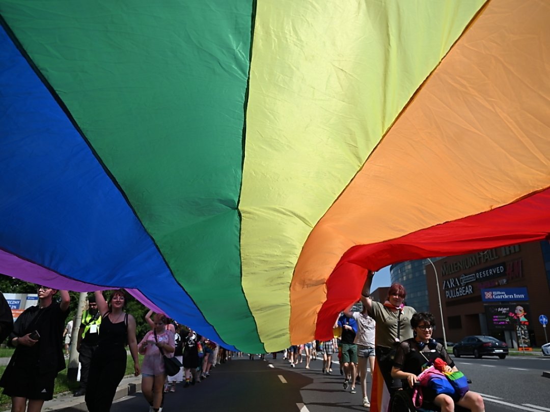 Il vaut mieux ne pas brandir de drapeau LGBT en Russie (image d'illustration).
