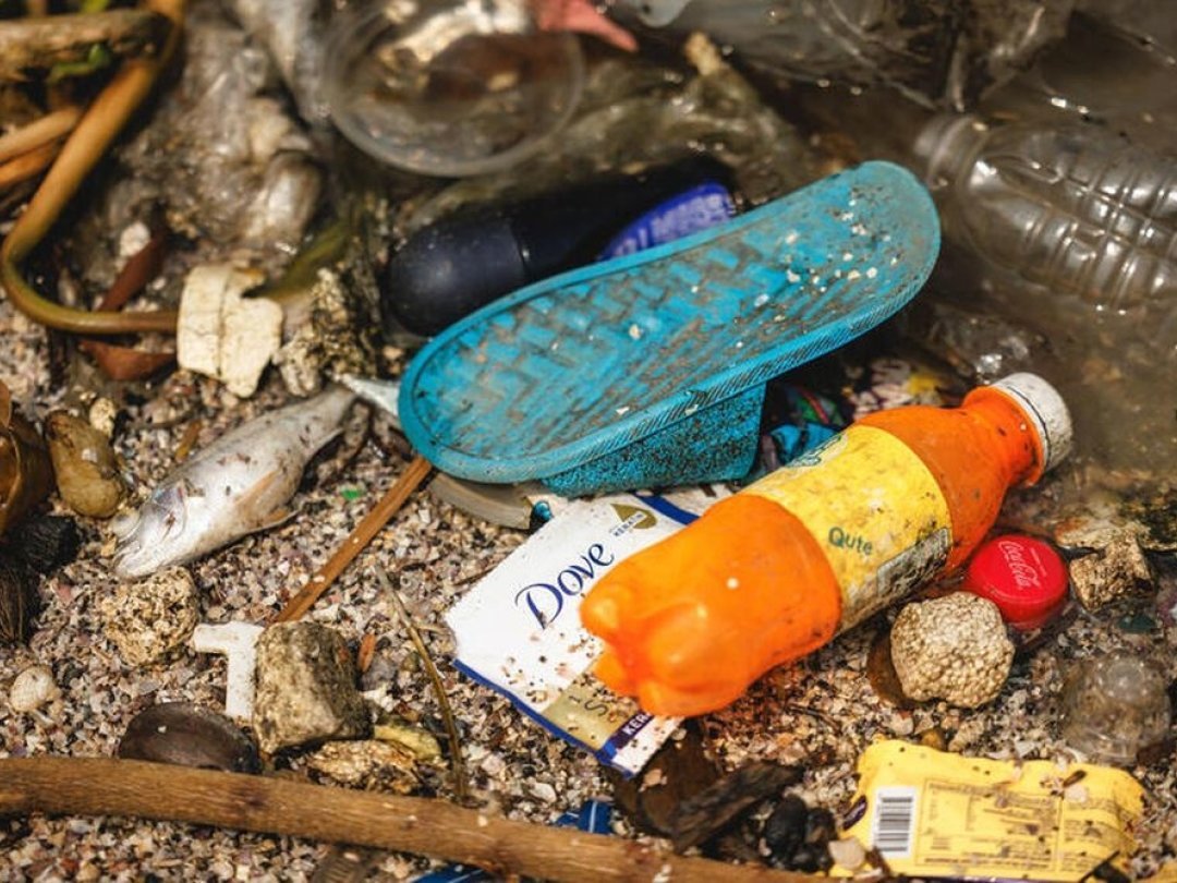 Dans la baie de Manille, une zone protégée de 175 hectares et continuellement jonchée de déchets plastiques - notamment ceux de la société Dove - provenant de l’océan.