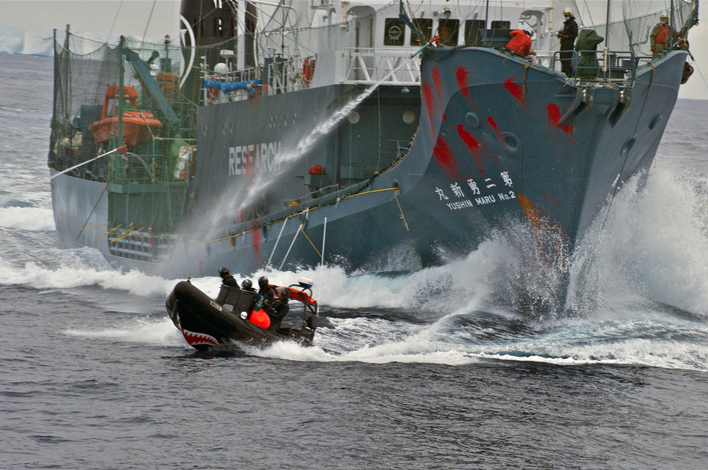 In this photo taken on Sunday, Feb. 12, 2012 and released by Sea Shepherd Conservation Society, the Japanese whaling vessel Yushin Maru No. 2 shoots its water cannons at the Sea Shepherd crew on a inflatable boat during an encounter by the whalers and anti-whaling activists in the Antarctic Sea. (AP Photo/Sea Shepherd, Billy Danger) EDITORIAL USE ONLY