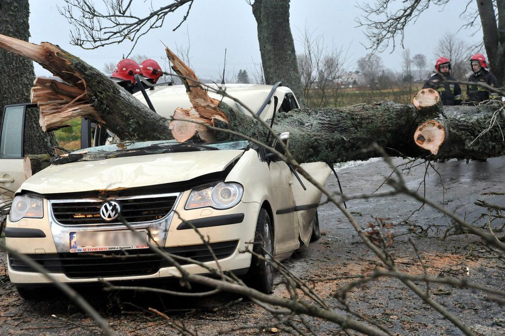 epa03979073 Firefighters stand at the site of a traffic accident on the road nr 213 between Wicko and Poraj villages, Pomerania region, northern Poland, 06 December 2013. Three people were killed and one injured when a tree fell on a car due to heavy storms. The storm, dubbed Xaver, has affected various European countries, leaving tens of thousands of people across Scotland and northern England without power while the transport system was also left in chaos. Officials in Belgium, Germany, Scandinavia and the Netherlands were also taking precautions as the storm swept over the North Sea.  EPA/JAN DZBAN POLAND OUT