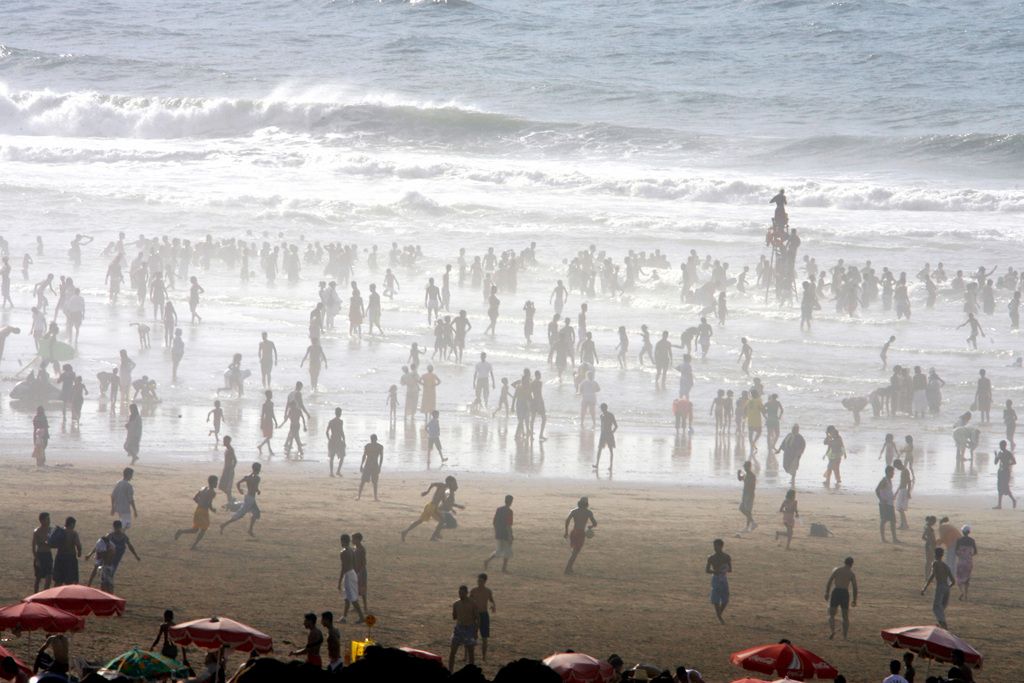 Un touriste suisse aurait été en contact avec ces chatons, le 12 octobre sur la plage d'Aïn Diab, à Casablanca, a indiqué vendredi l'OFSP dans un communiqué. Photo d'illustration.