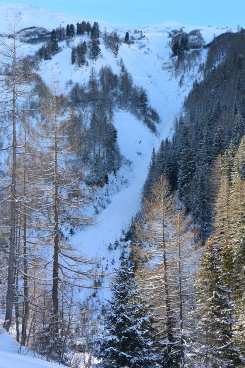 L'avalanche est survenue dans ce couloir, sur les flancs de La Dotse, un mont prisé des randonneurs à ski.