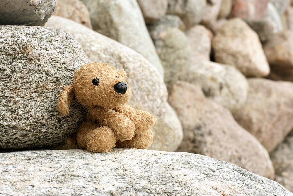 "Doudou perdu Suisse" est le premier service à s'adresser spécifiquement aux Romands.