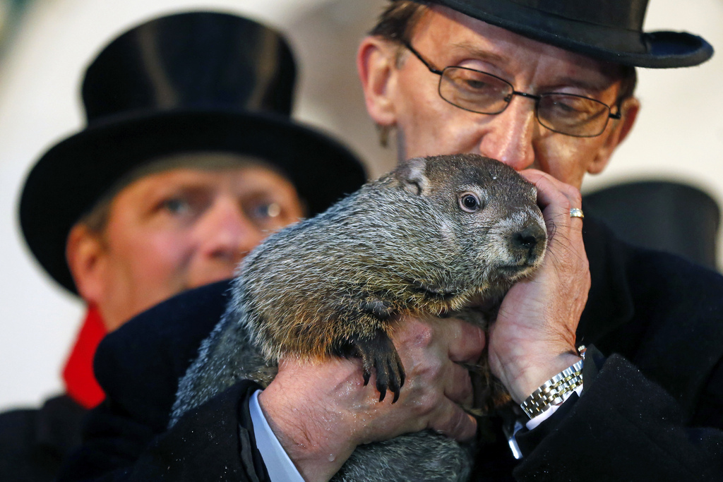 Punxsutawney Phil is held by Ron Ploucha after emerging from his burrow Sunday, Feb. 2, 2014, on Gobblers Knob in Punxsutawney, Pa., to see his shadow and forecast six more weeks of winter weather. The prediction this year fell on the same day as Super Bowl Sunday.  (AP Photo/Gene J. Puskar)