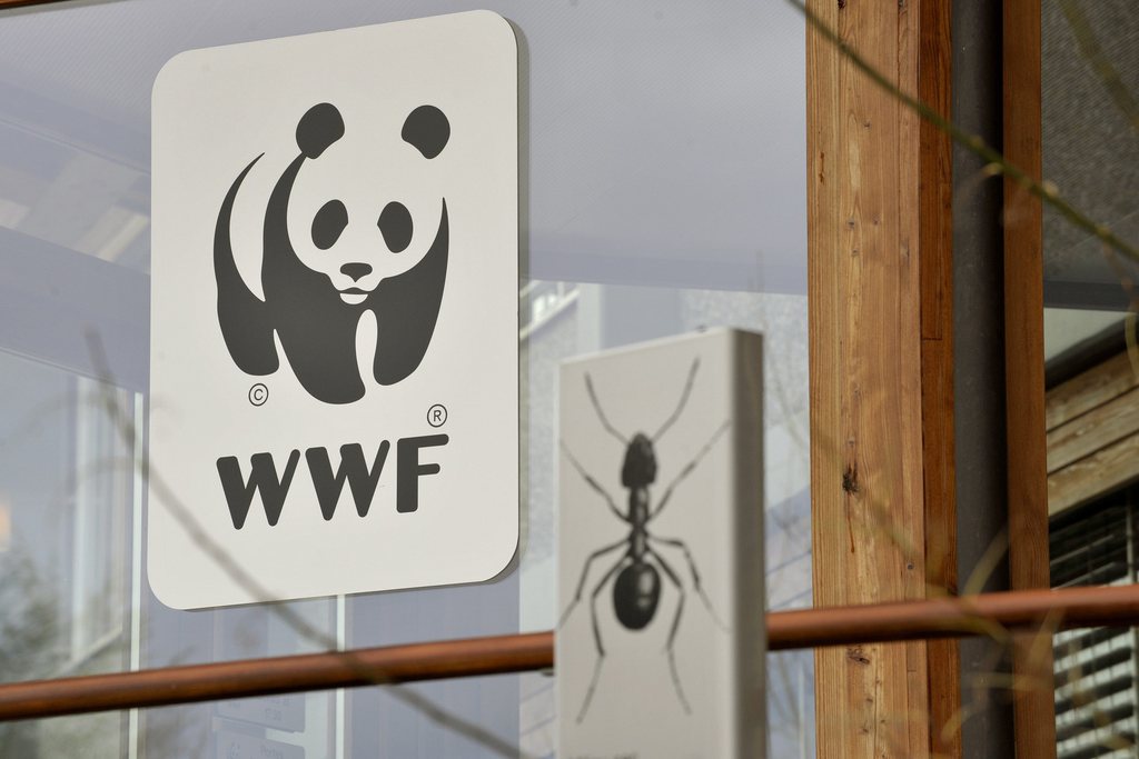 WWF International veut se rapprocher au plus près du terrain et redéployer ses forces. Ce qui expliquerait ce projet de supprimer au moins 100 postes à Gland.