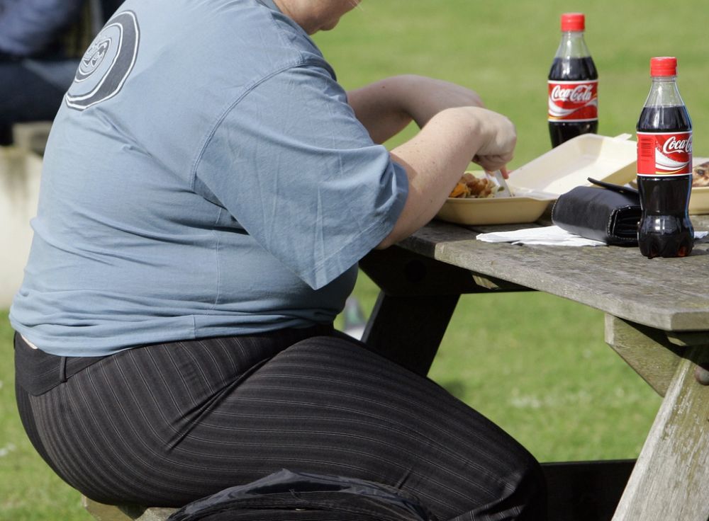 Environ 30% de la population mondiale souffre d'obésité ou de surpoids.