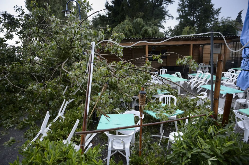 Un arbre peuplier deraciné après un violent orage vendredi 4 juillet 2014 à Préverenges. 