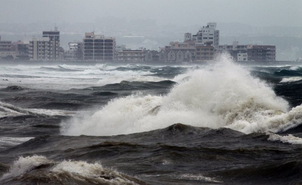 Le typhon Neoguri génère des vagues gigantesques sur les côtes nippones. 