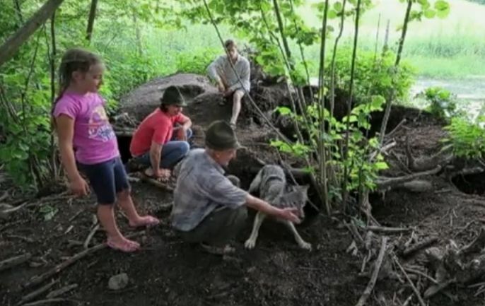 La famille Selekh vit en osmose avec une meute de loups.