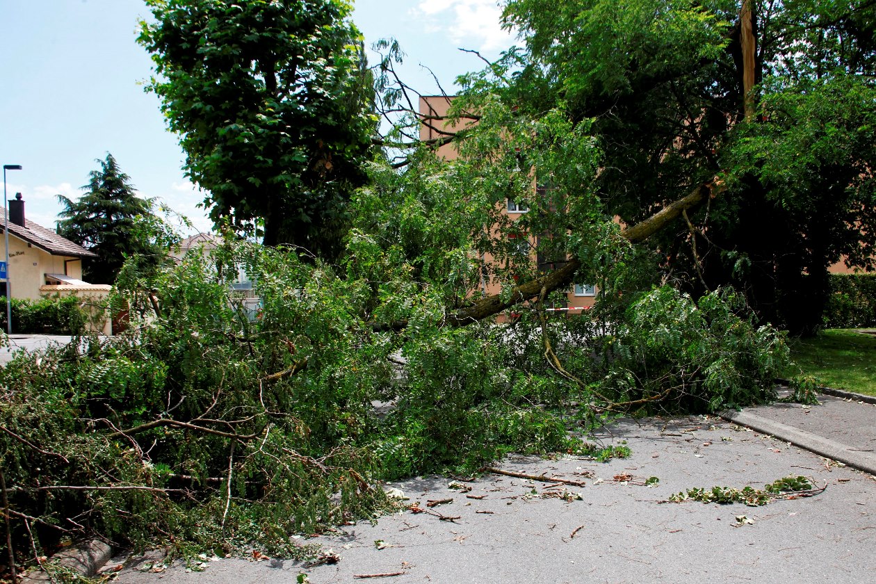 A Lonay, les arbres déracinés ont bloqué de nombreuses voies d'accès.