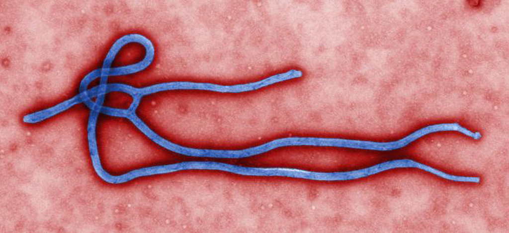 L'aide-soignante avait traité deux missionnaires infectés par la fièvre Ebola et décédés depuis, avant de contracter elle-même le virus.