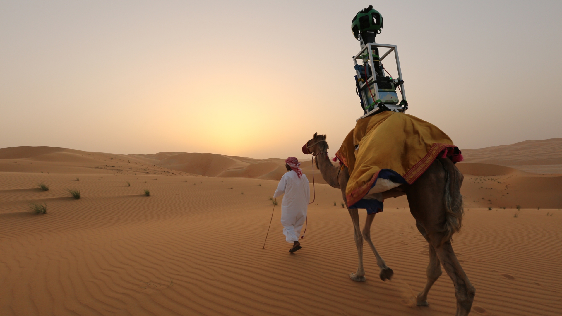 C'est grâce à Raffia le chameau, que Google est parvenu à cartographier l'oasis de Liwa, dans les Emirats arabes unis.