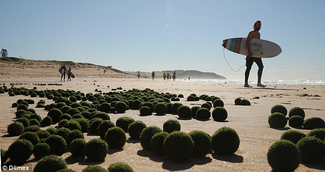Des ufs extra-terrestres écrasés sur une plage australienne?