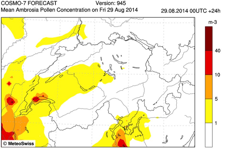 Plus de 20% des Suisses souffrent d'allergies, en grande majorité d'allergie au pollen. Pour les aider, MétéoSuisse calcule désormais la concentration en pollen d'ambroisie, une plante qui fleurit à la fin de l'été et qui peut facilement causer des allergies.
