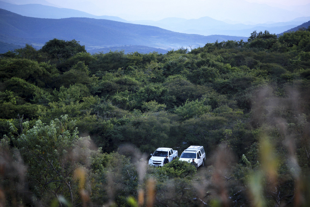 La nouvelle fosse a été découverte à Cocula, près d'Iguala. Auparavant, les autorités avaient déjà découvert 38 corps dans d'autres fosses.