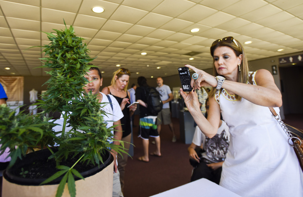 des milliers de personnes ont visité cette semaine la première Expo Cannabis du pays, à Montevideo, où l'Etat avait des stands pour présenter sa loi.